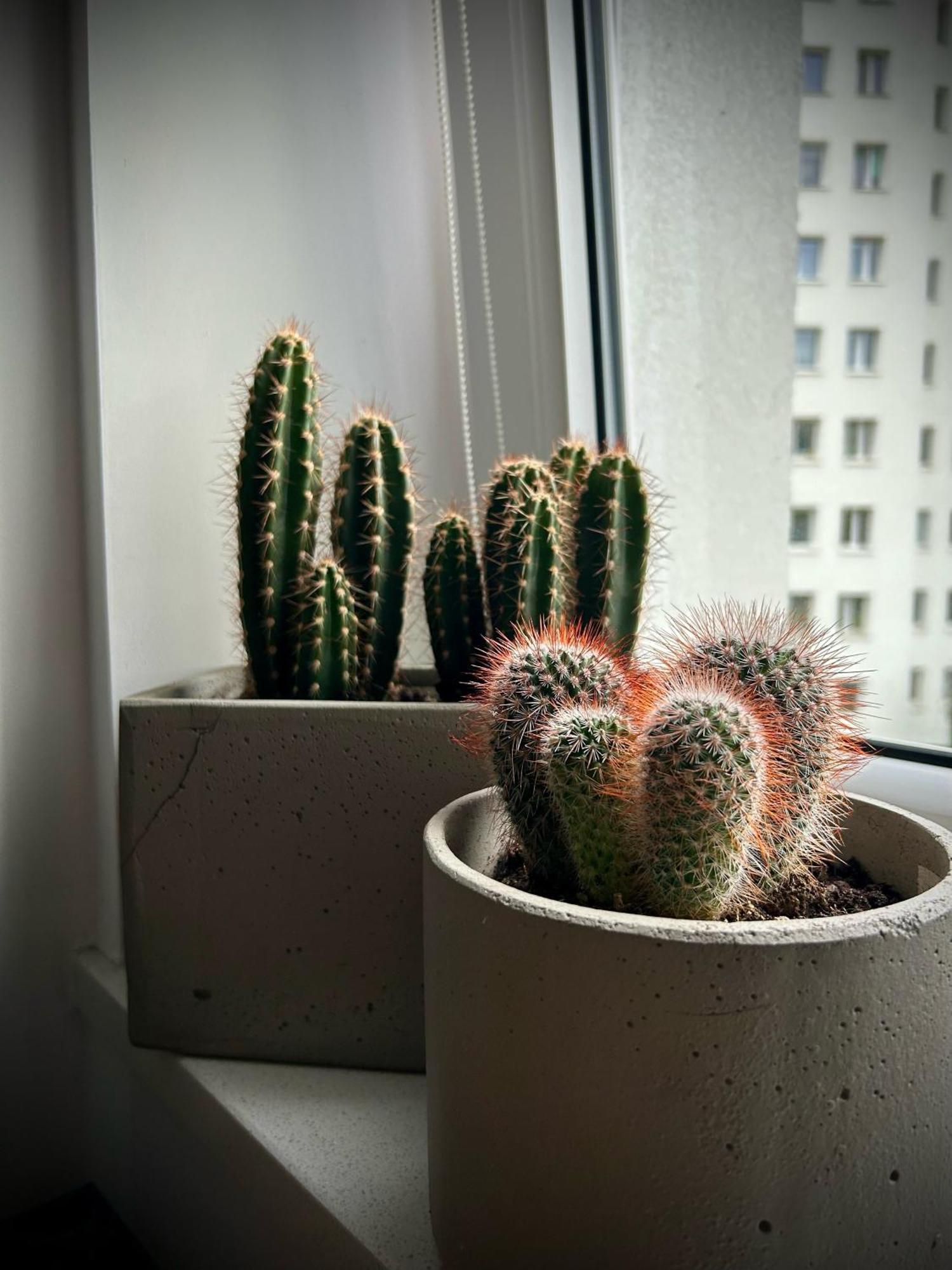 Metro Trocka Apartment Warsaw Ngoại thất bức ảnh